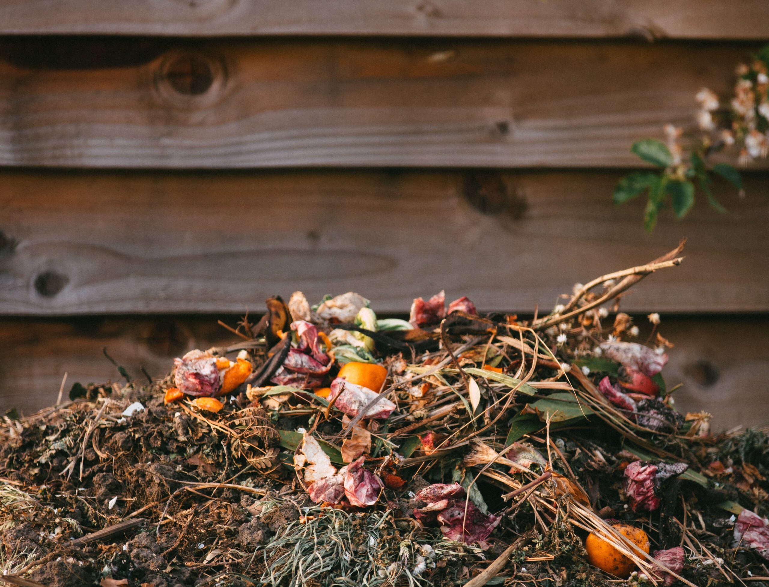 Composteren voor beginners, wat mag er wel en niet op de composthoop?
