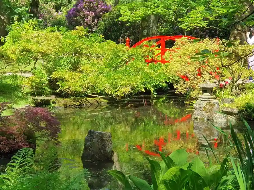 Een Japanse tuin in Nederland & 10 tips om die zelf aan te leggen