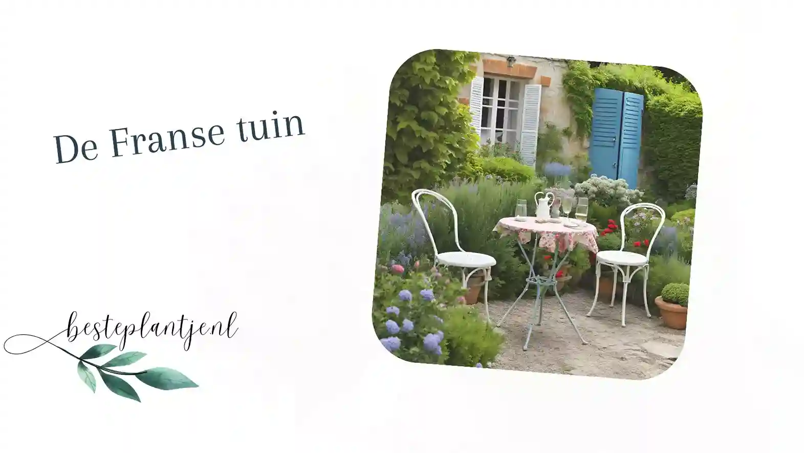 De Franse tuin voor beginners